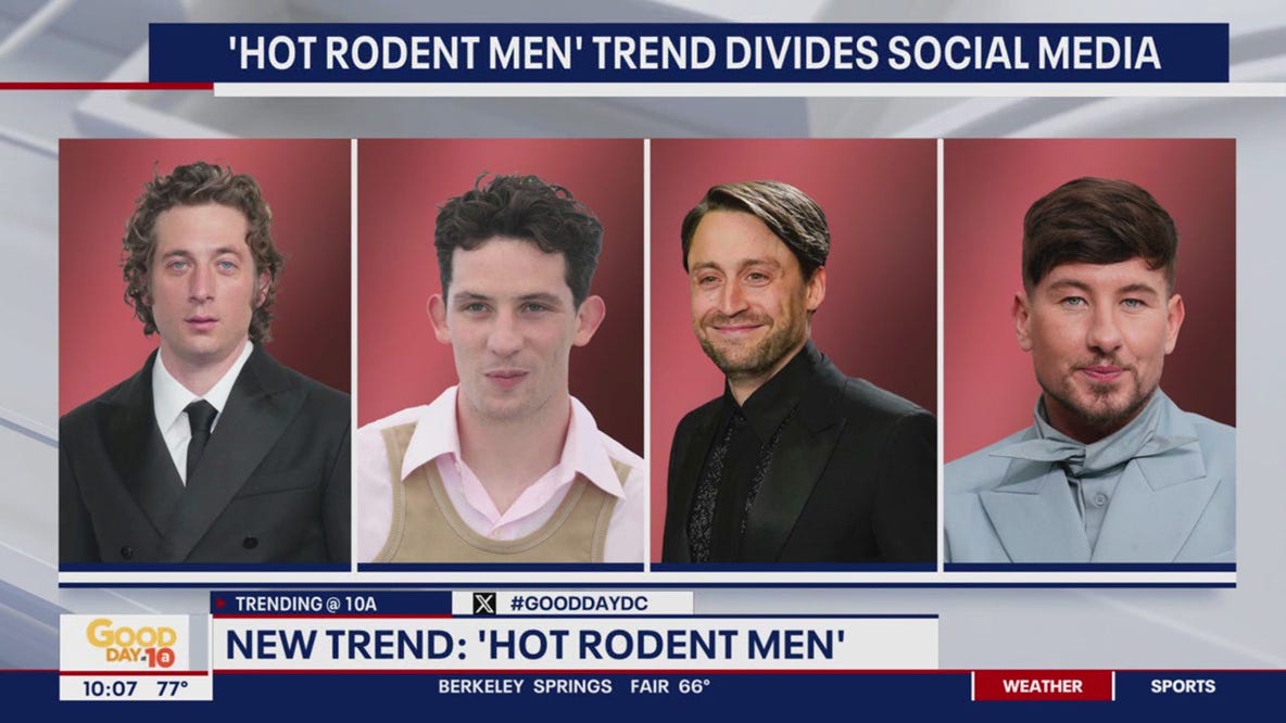 Hot rodent men are the new Hollywood heartthrobs